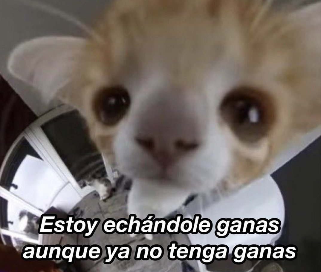 piña sin pizza (@skereunpesado) on Twitter photo 