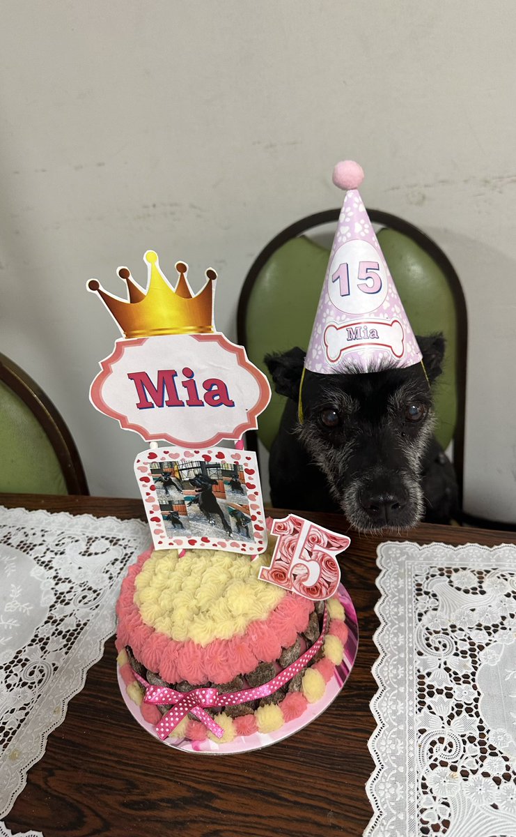 ¡Felices 15 años mía hermosa!