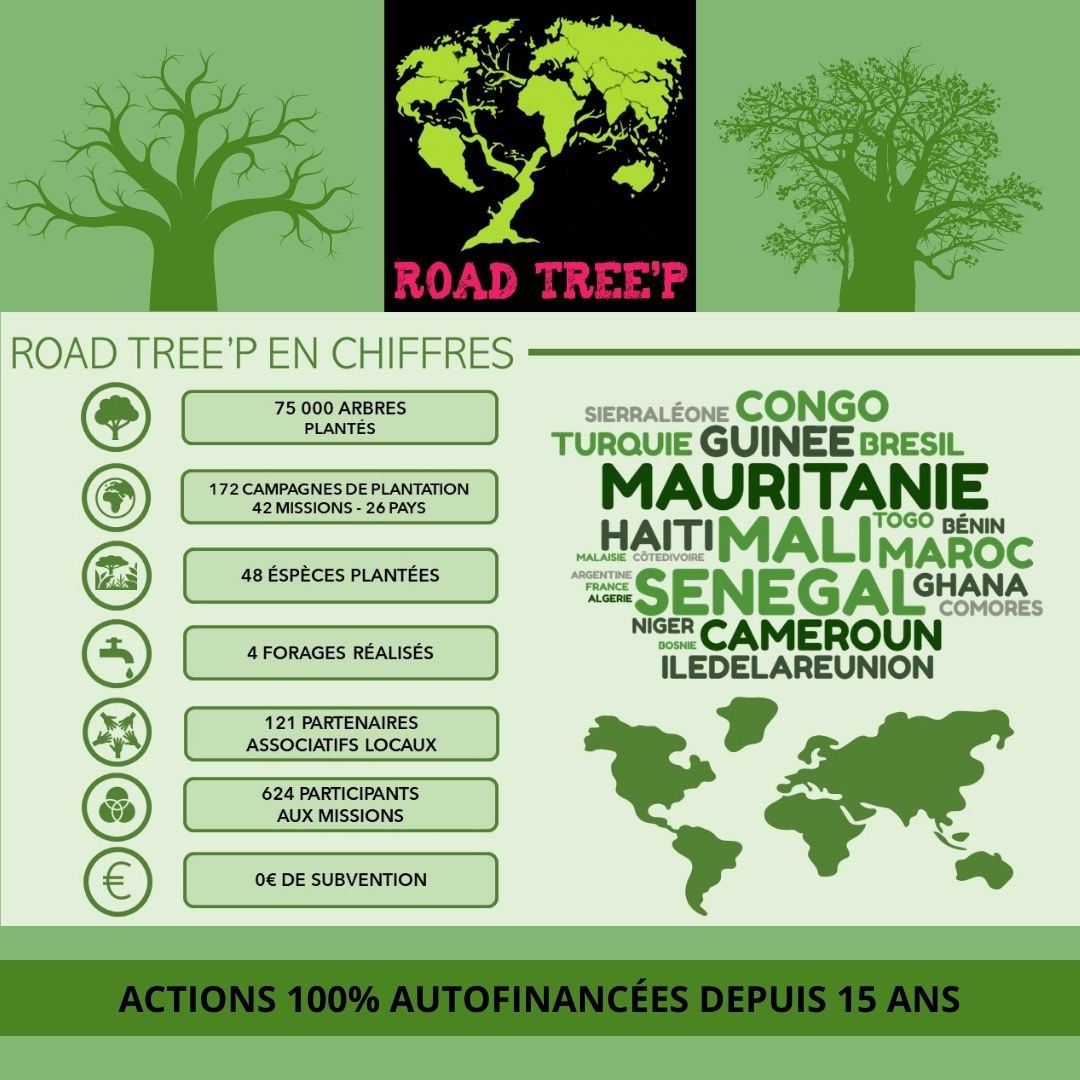 Road Tree'P tweet media