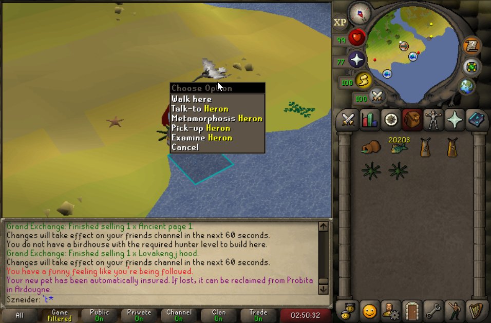 Heron 17.5m exp, 3 pets in under 1 week