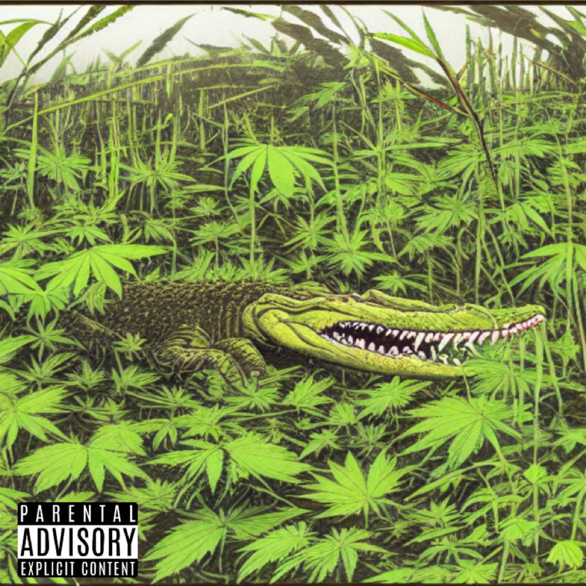 gold_draco_'s tweet photo. TOMORROW @ MIDNIGHT🐊🐊🐊

Chomp ft @BurnoutMacGyver 
artwork by @CM_yates_ 
published by @GangFacelesss 

#hiphop #undergroundhiphop #rap https://t.co/pKoLfMwA9Y