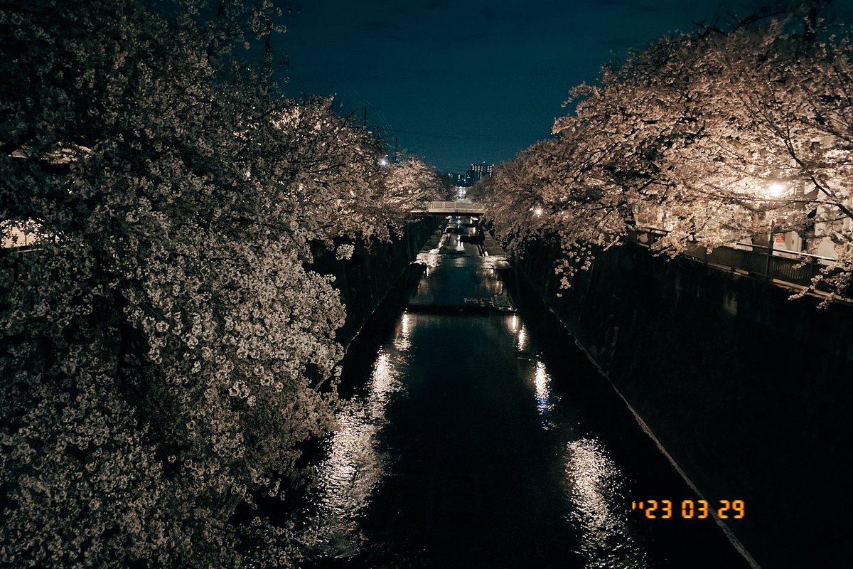 ka_nnn5's tweet photo. 【審査対象】3/30 ③ #RT希望　

"人はみんな平等"

これでもかという程聞いてきたけど、平等なんて思ったことは一度もない。

本当は時間でさえも平等じゃない。

ミカサが言うように残酷な世界です。

#MissBouquet #ミクチャ #KURAUDIA
#RT希望 #相互募集 https://t.co/x6g4zd6StF
