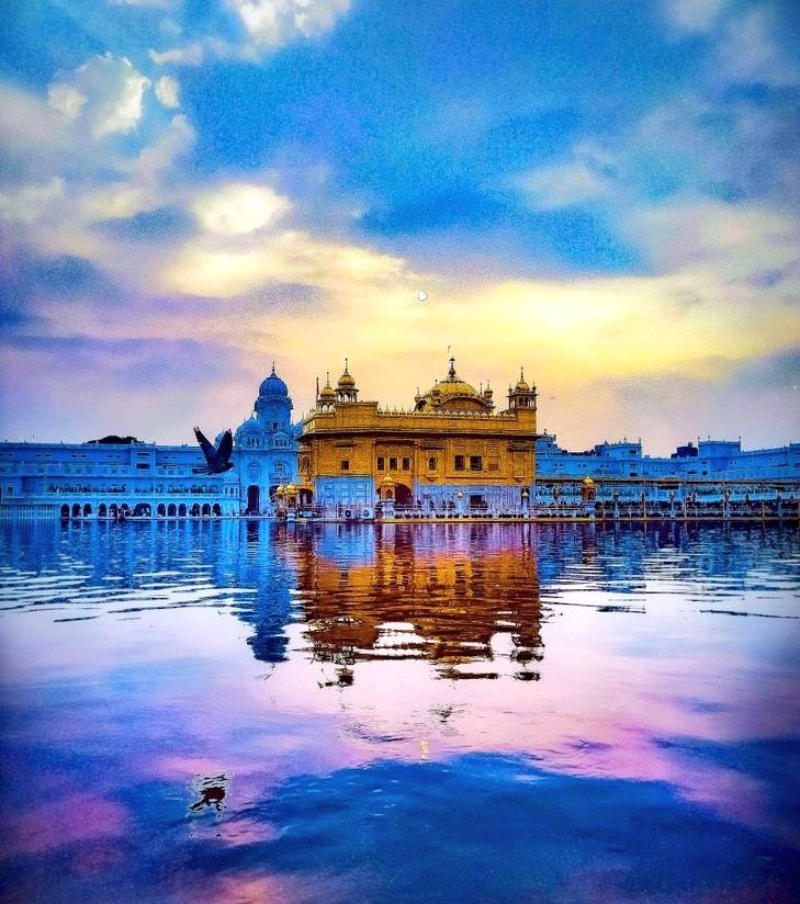 SinghPreet tweet media