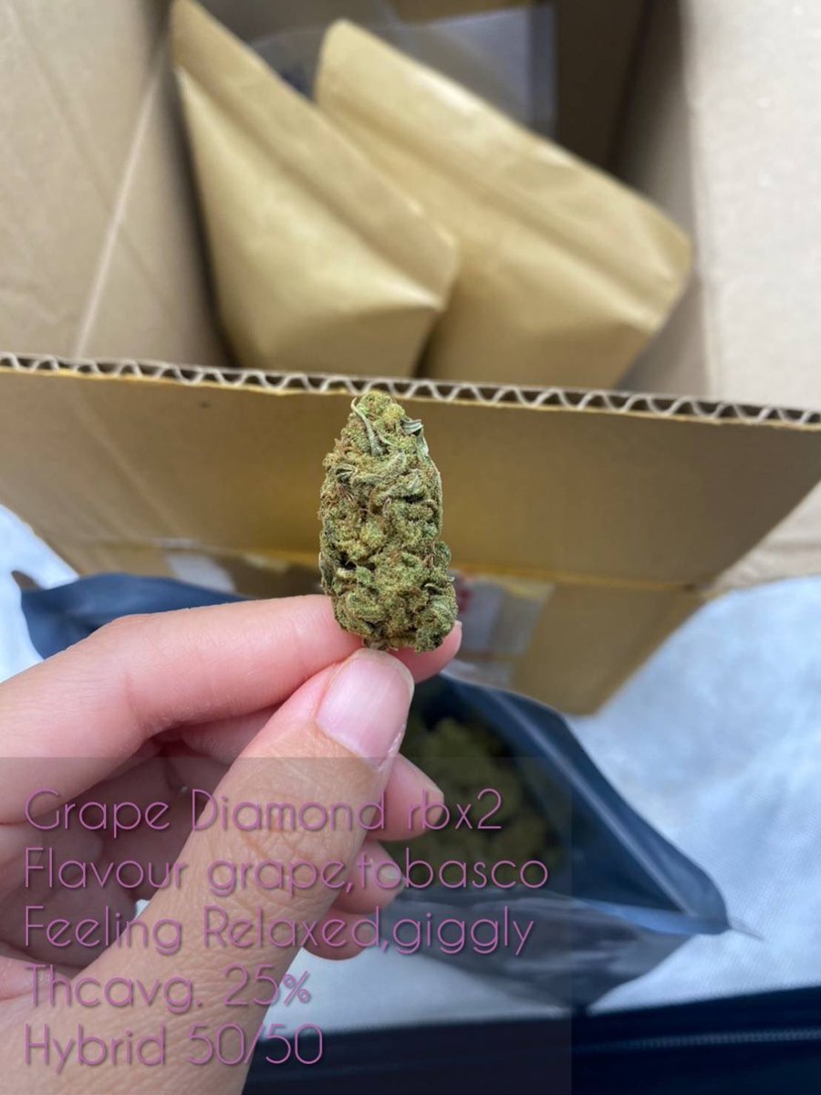 SNying6's tweet photo. #กัญชาต้นฤดู +ขวดโหล
#weedthailand #cannabisindustry #cannabis #weedog
Blue dream 1g =150
Lemon haze 1g = 150
ชนมือได้ที่พระรามสอง 🛵🛵
ไลน์ https://t.co/9NeY56Zx7b
#กัญชาออแกนิค #og #กัญชาพระรามสอง #กัญชากรุงเทพ #กัญชานอก #กัญชา #Weedmob #กัญชาog #ดอกog #ดอกกัญชา #กัญชา https://t.co/vVB2aU6PxA
