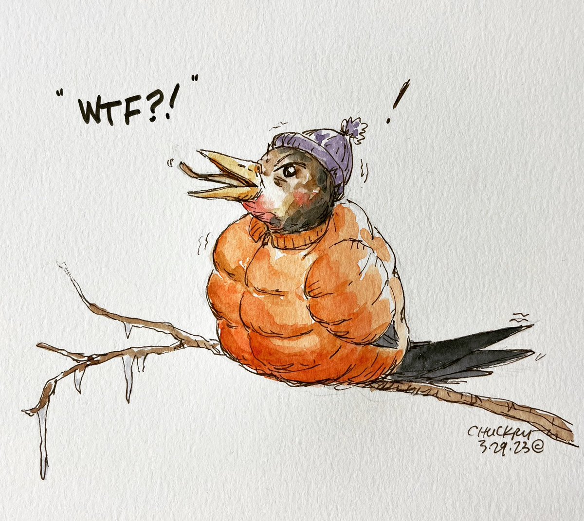 chrischuckry's tweet photo. I’ve seen Spring on the calendar and in the long term forecast, but I haven’t seen it in person yet. And if you listen carefully, you’ll hear the salty-tongued northern complainer register its displeasure. #cartoon #manitoba #spring #birdsofspring #saltytonguednortherncomplainer https://t.co/6SuHVMmj3h