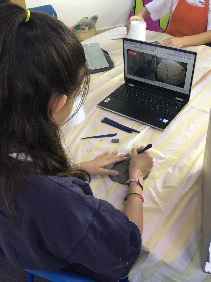 BSM Year 6 tweet media