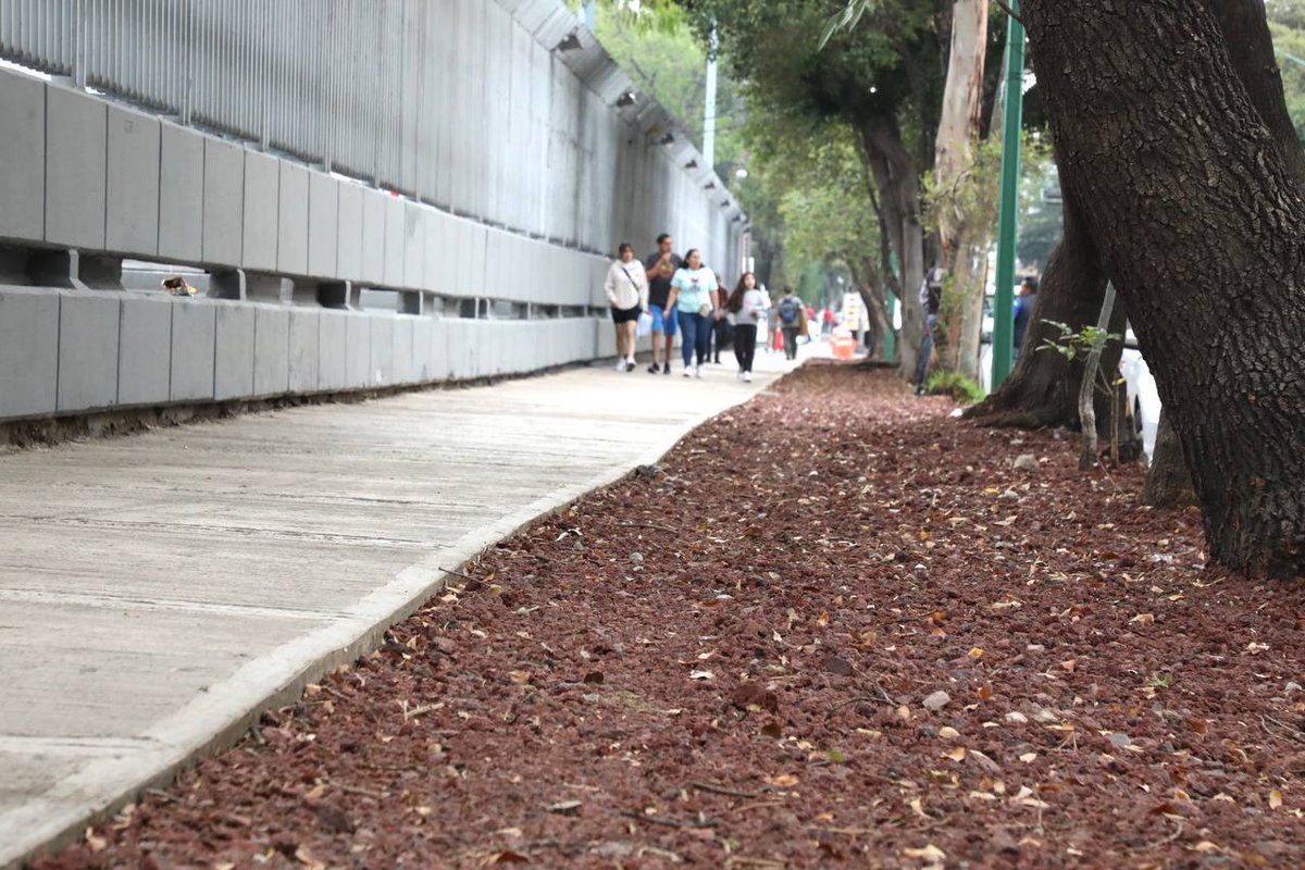 Alcaldía Cuauhtémoc tweet media