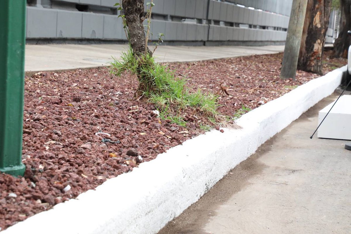 Alcaldía Cuauhtémoc tweet media