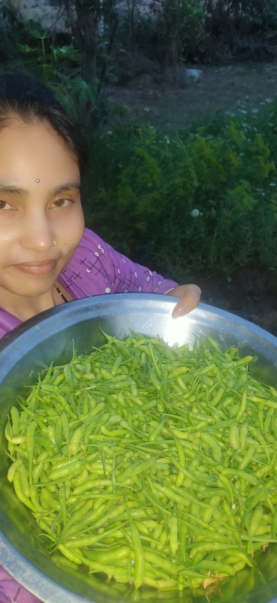 ManjuDevi42292's tweet photo. #जो पेड़ 🌱#हमने जमीन #पर बोला #उसी का #फल🤲 हम ही #खा 🥜रहे हैं #हे जिंदगी #कितनी #खूबसूरत🫒 जिन्हें #��भी यह #पता नहीं #है🤗💯 https://t.co/ZJklqGVlyX