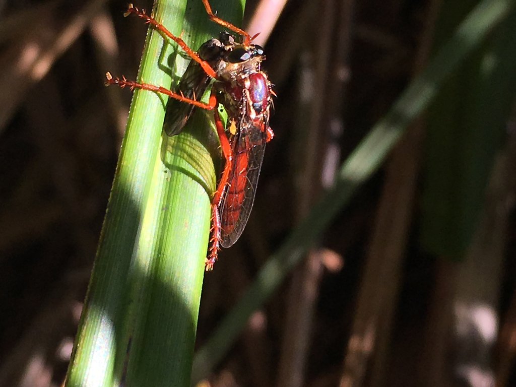 Clare Hawkins tweet media