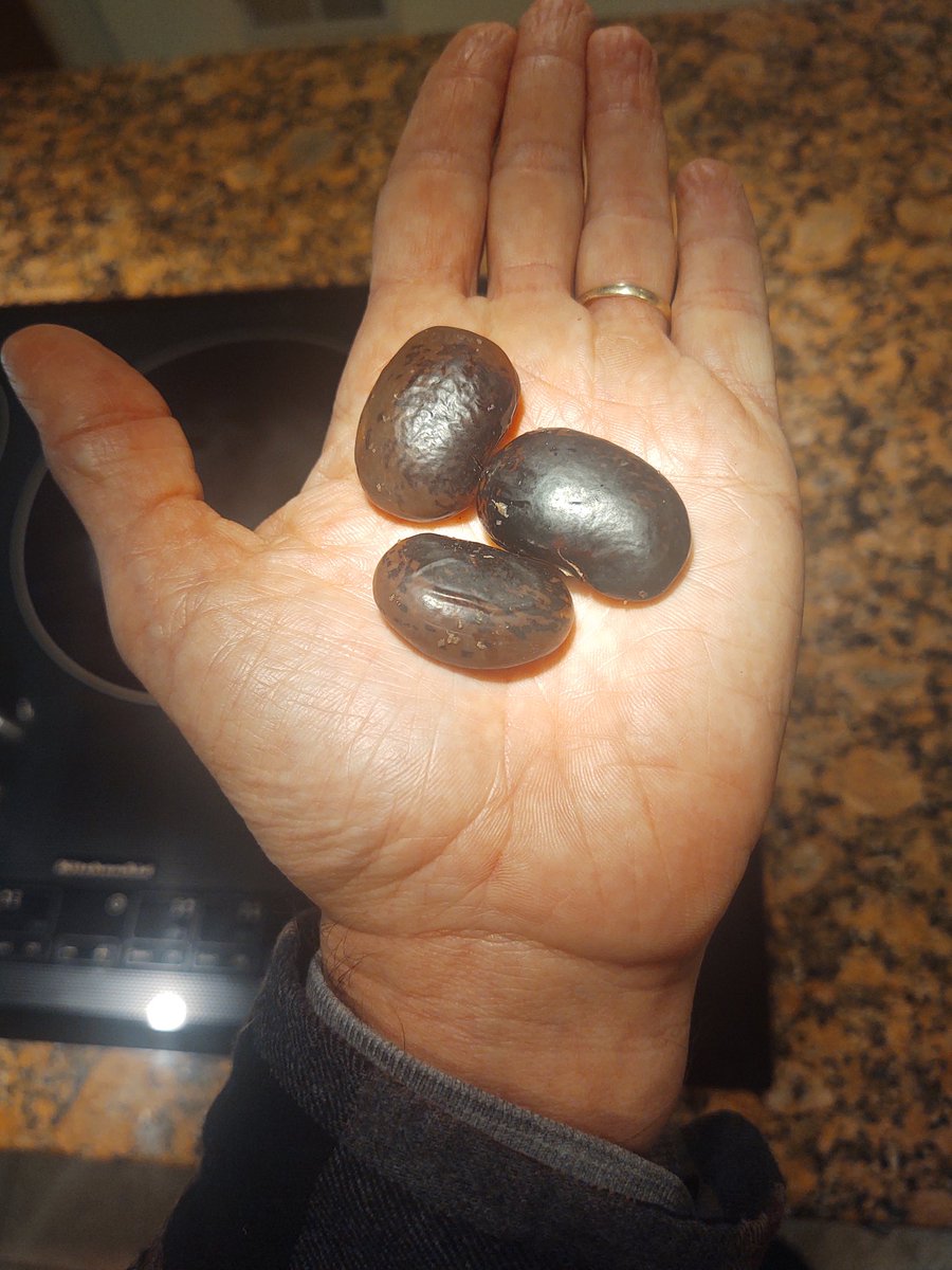 vlckow's tweet image. Another perspective. #megabeans #butterbeans #scarletbeans 
Eat 3 and you have snack.