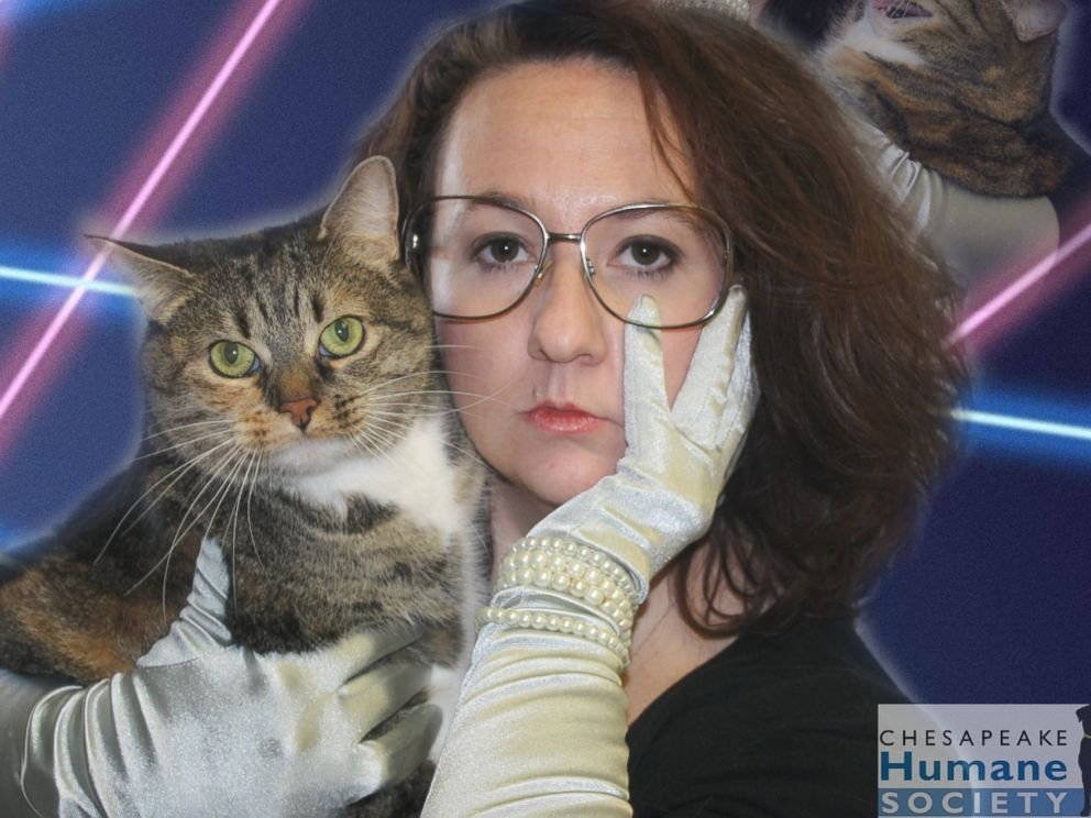 Foxy Cubist Artist tweet media