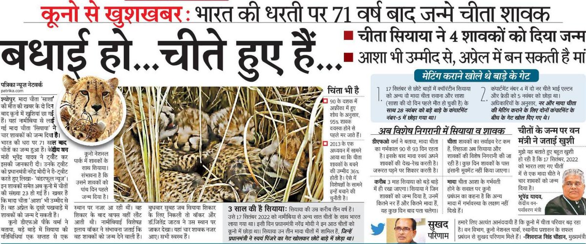 projssheopur's tweet image. #बधाई_हो... चीते हुए हैं...
कूनो से खुशखबरी : भारत की धरती पर 71 वर्ष बाद जन्मे चीता शावक
-
@CMMadhyaPradesh
@JansamparkMP
@minforestmp
#CheetahStateMP 
#JansamparkMP