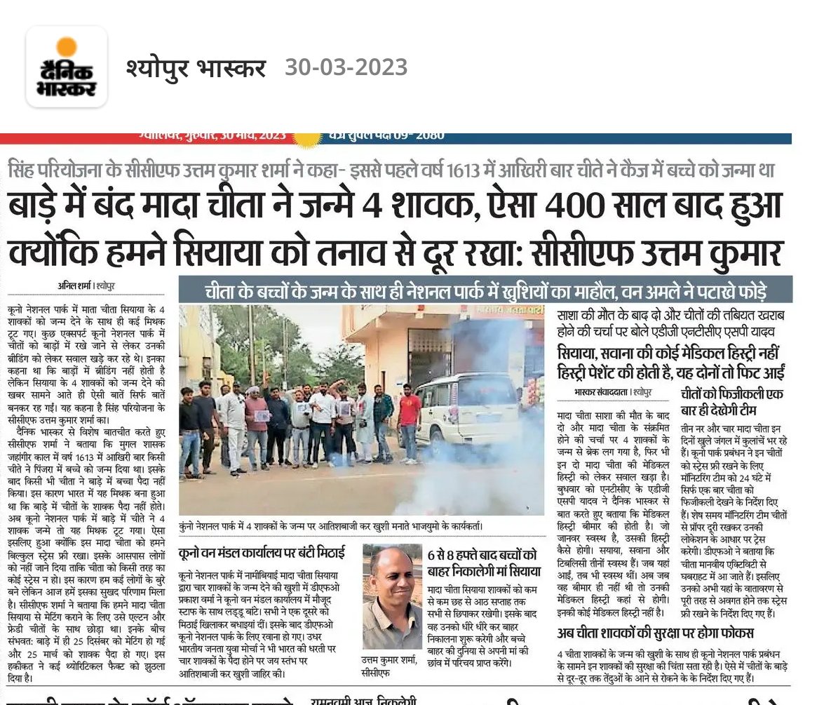 projssheopur's tweet image. #बधाई_हो... चीते हुए हैं...
कूनो से खुशखबरी : भारत की धरती पर 71 वर्ष बाद जन्मे चीता शावक
-
@CMMadhyaPradesh
@JansamparkMP
@minforestmp
#CheetahStateMP 
#JansamparkMP