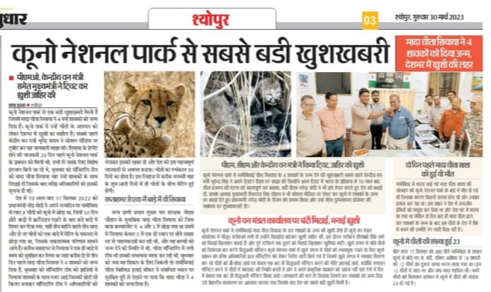 projssheopur's tweet image. #बधाई_हो... चीते हुए हैं...
कूनो से खुशखबरी : भारत की धरती पर 71 वर्ष बाद जन्मे चीता शावक
-
@CMMadhyaPradesh
@JansamparkMP
@minforestmp
#CheetahStateMP 
#JansamparkMP