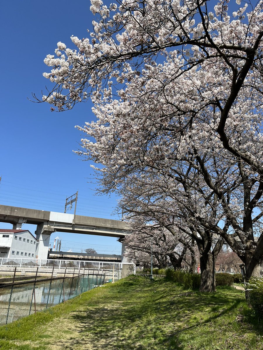 Mash_0416's tweet photo. いまだに新潟 https://t.co/X1NU1sEilo