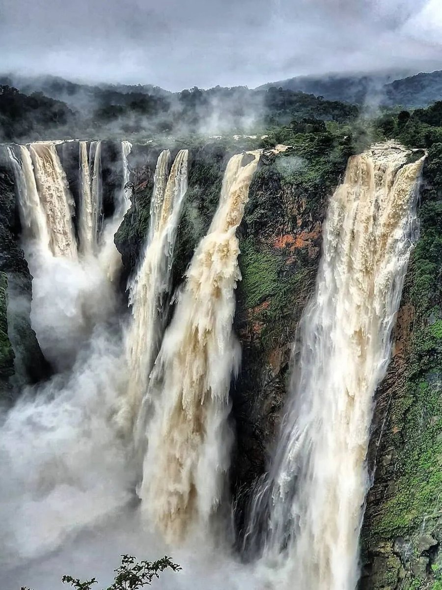 20 Most Beautiful Waterfalls near Udupi, Karnataka 🇮🇳

1. Jog Falls
📍Sagara, Shivamogga