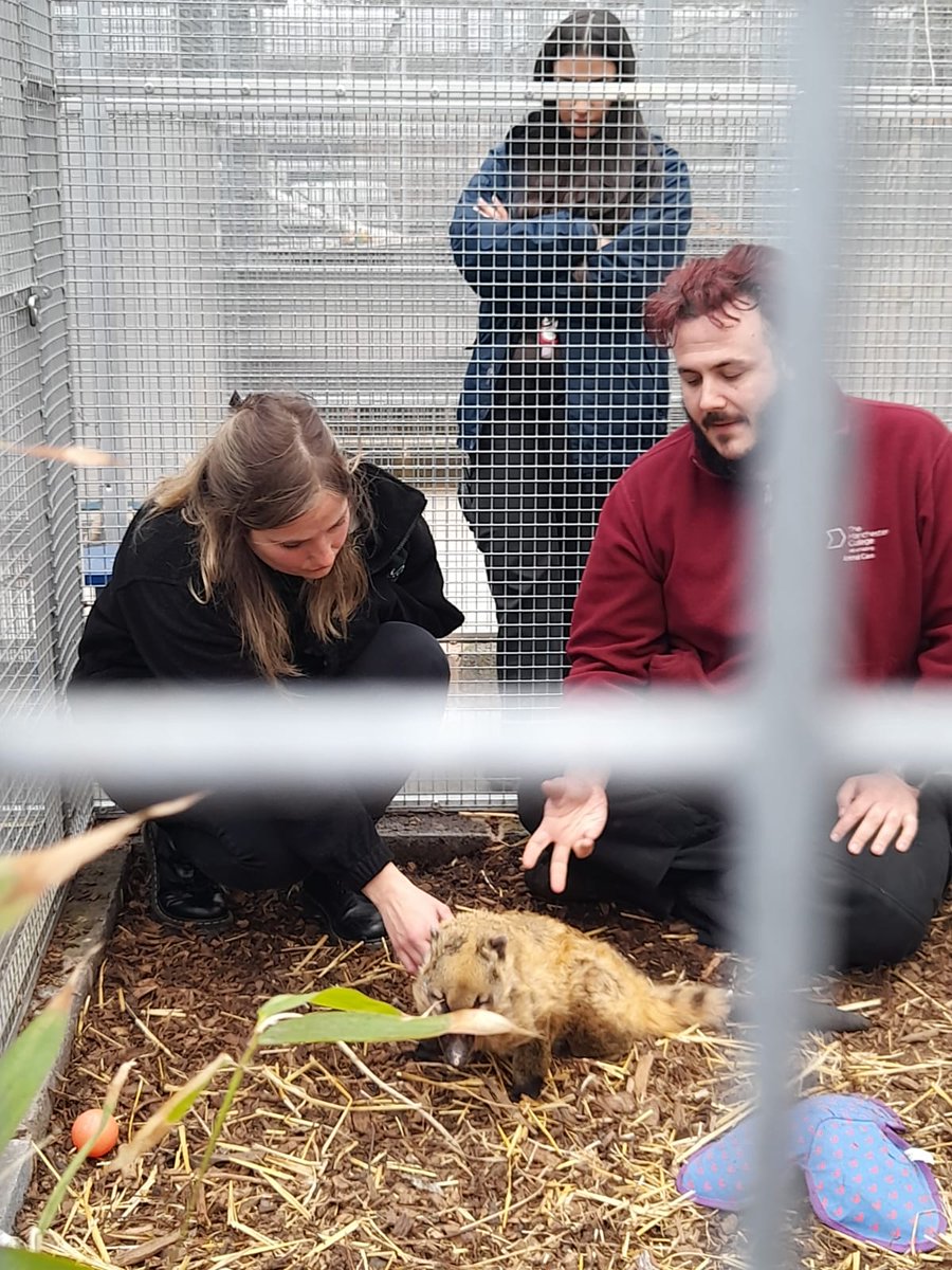 Louise Loxton tweet media