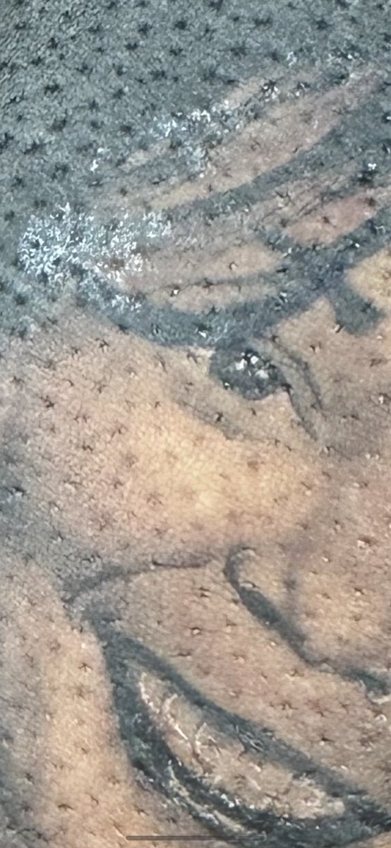 Treruthtattoo's tweet photo. Best job in the world 🖤 https://t.co/pzHWcjxCX0