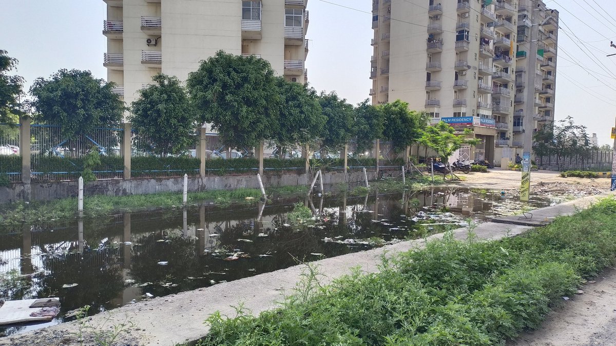 pradeep5194's tweet photo. @FaridabadNewsFN @MCF_Faridabad @DC_Faridabad @smartcityfbd @cmohry
No concern for public health,no action being taken by Authorities; tomorrow it is going to be epicenter for #Dengue #malaria #sec76 #palmresidancy https://t.co/SjZphCMJjv