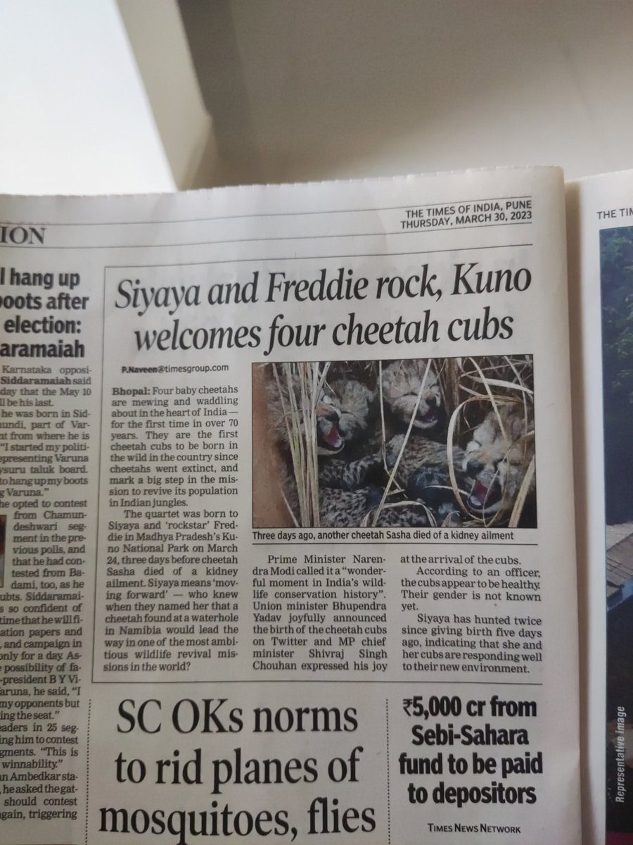 TenorCards's tweet photo. @byadavbjp @narendramodi @cheenubunny Okay first time I see a twitter post first and then then same in newspaper https://t.co/sKmlmmci6n