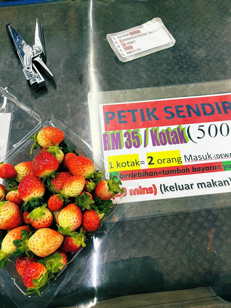 juhaida98's tweet photo. Rindunya nak petik strawberry🫠 https://t.co/wiqol7V1qJ