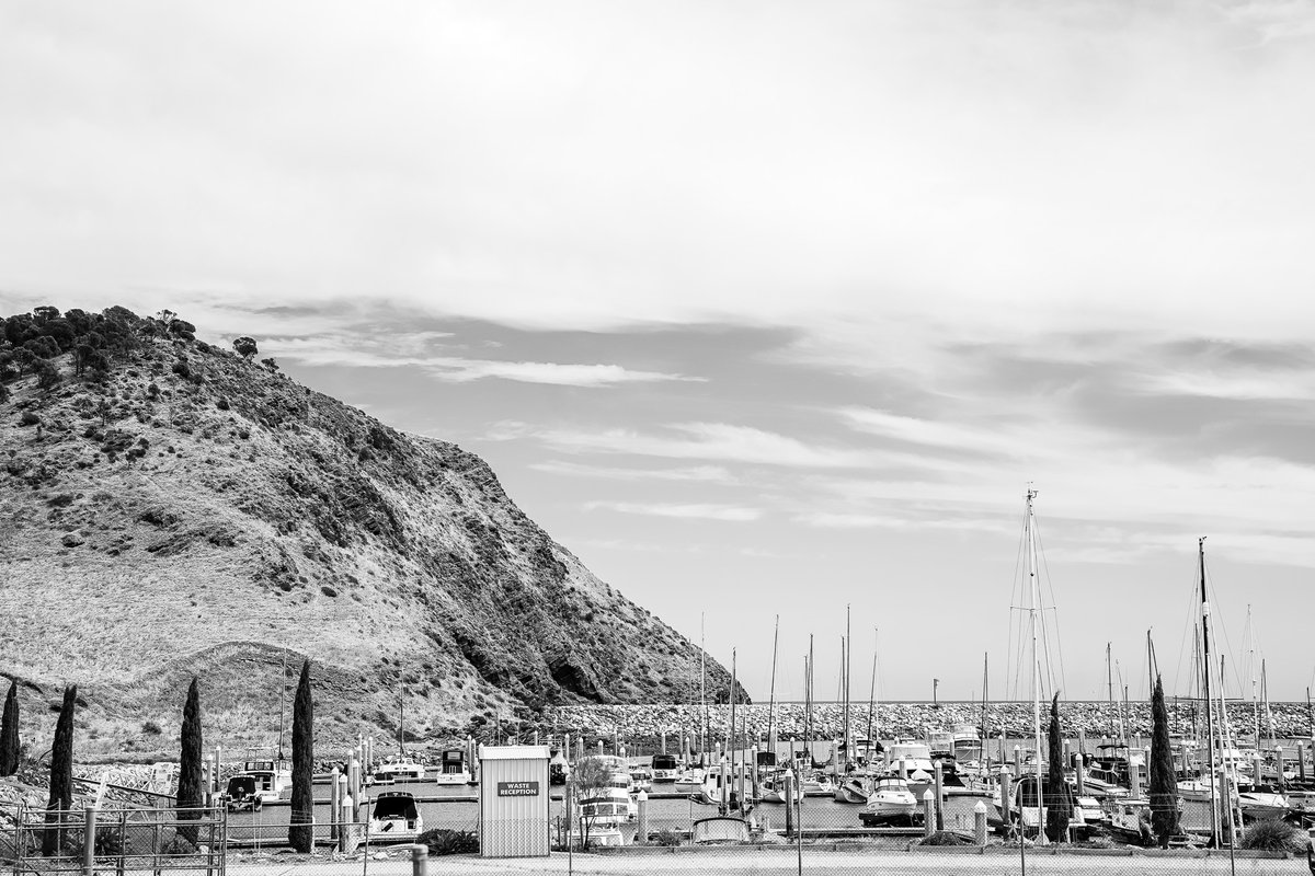 Bec Whetham tweet media