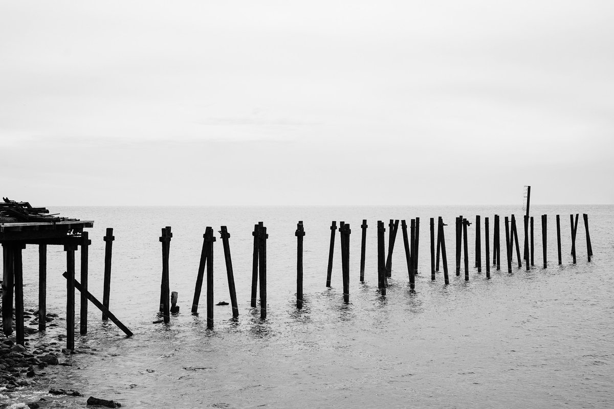 Bec Whetham tweet media