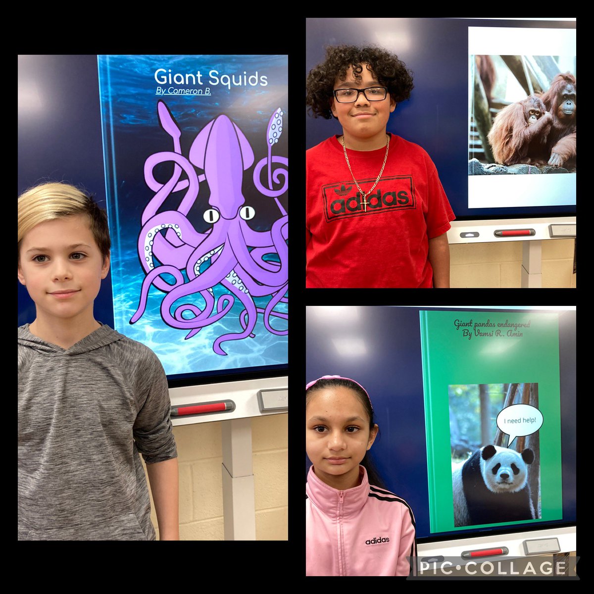 Turning our science research into books with Book Creator!  #weareauthors