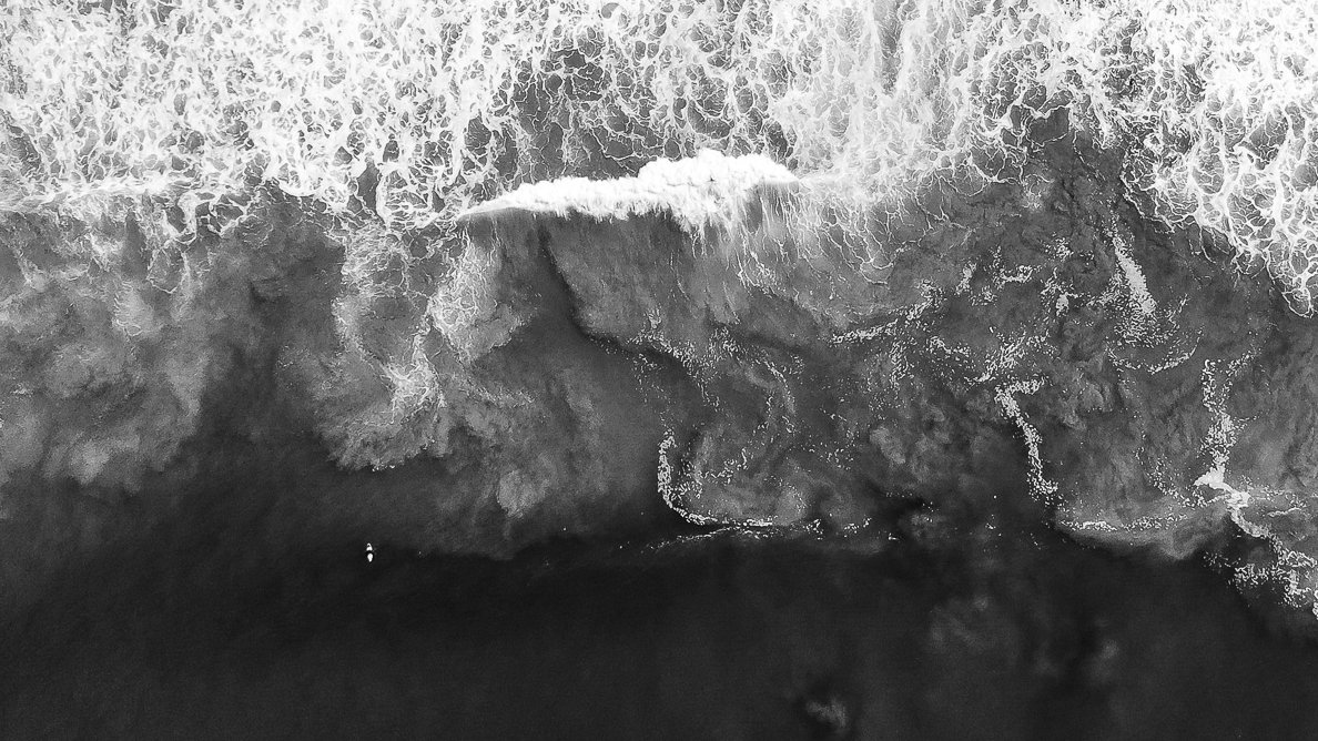 Bec Whetham tweet media