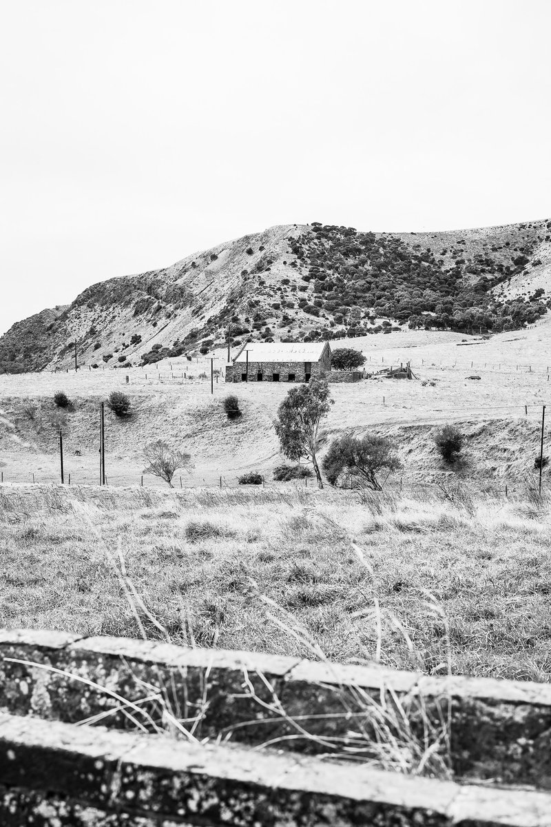 Bec Whetham tweet media