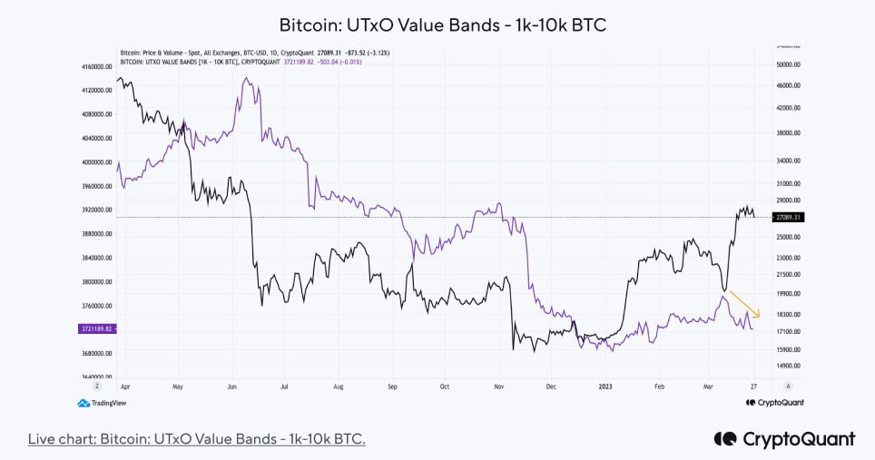 เมื่อเร็ว ๆ นี้ราคาของ #BTC เพิ่มขึ้นจาก ~ $24K เป็น ~ $28K แต่ตอนนี้การขึ้นลงของราคาได้ชะลอตัวลง ในความเป็นจริงเมื่อสัปดาห์ที่แล้วราคาลดลงจาก $28.8k เป็น $26.9k ซึ่งเป็นราคา #BTC ที่สูงที่สุดในช่วง 9 เดือนที่ผ่านมา

#BTC #Bitcoin #บิทคอยน์ #คริปโตแมนเบสิค