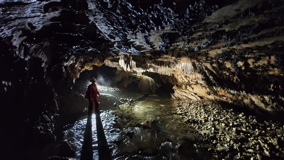 RNP_Romsilva's tweet photo. ℹ️ Peștera #Comarnic se redeschide pentru turiști de la 1 aprilie.  

ℹ️ 🇬🇧The #Comarnic cave, one of the tourist sights in Romsilva - Semenic National Park - Cheile Carașului reopens for tourists. https://t.co/PkXxWkzLxe