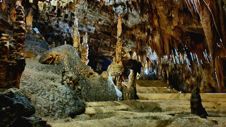 RNP_Romsilva's tweet photo. ℹ️ Peștera #Comarnic se redeschide pentru turiști de la 1 aprilie.  

ℹ️ 🇬🇧The #Comarnic cave, one of the tourist sights in Romsilva - Semenic National Park - Cheile Carașului reopens for tourists. https://t.co/PkXxWkzLxe
