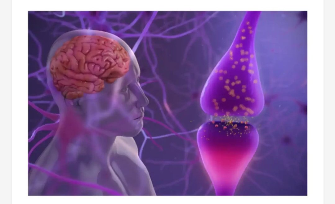 shesightdigital's tweet photo. FAQs on Parkinson’s Disease: Expert Answers on Cure and Symptoms
https://t.co/p4JRBoMYkX click to read:https://t.co/In6mlHWQgQ
#ParkinsonsDisease #NeurodegenerativeDisease #Tremors #Stiffness #SlownessOfMovement #BalanceProblems #MovementDisorders #SheSight https://t.co/FIT8MdA4pf
