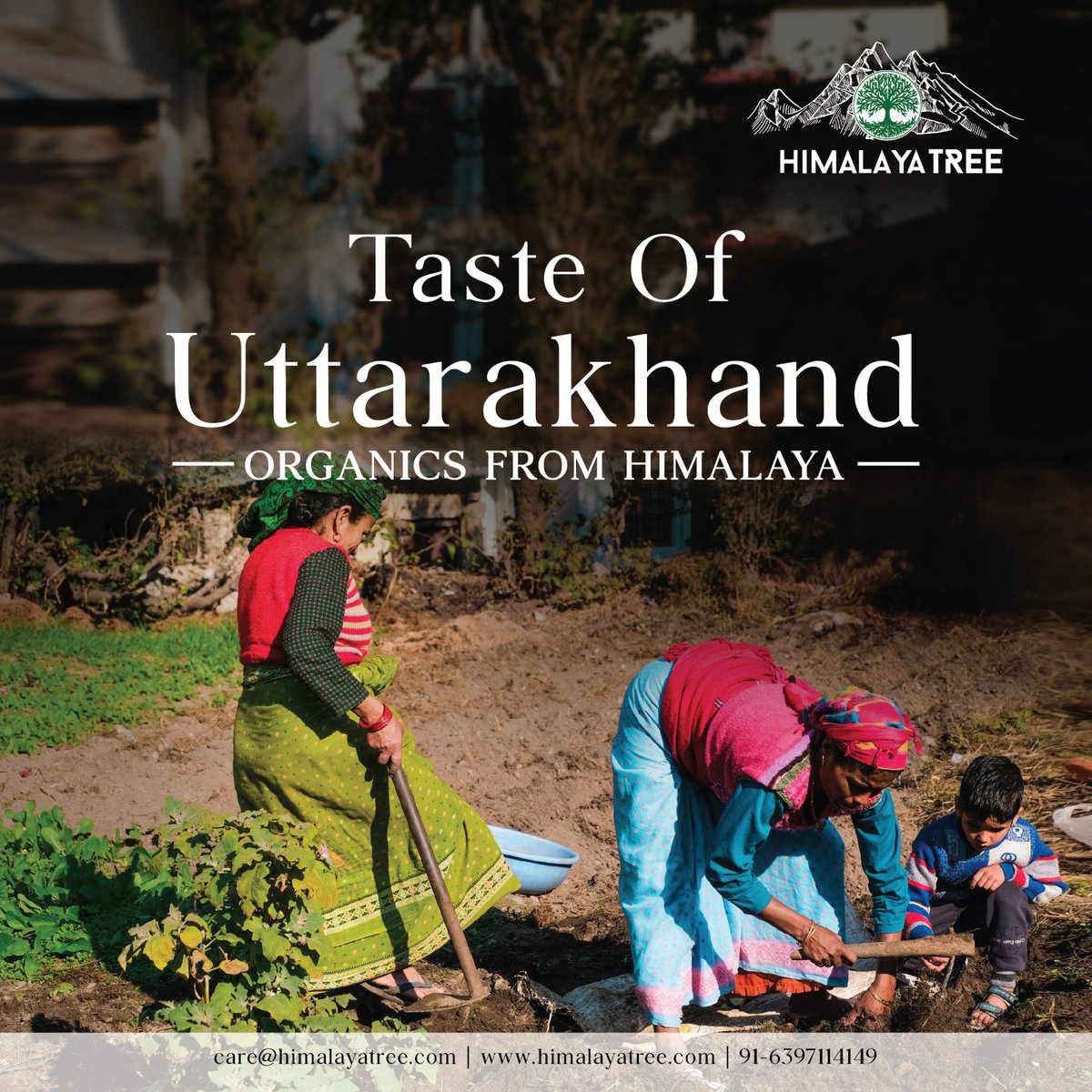 Let's join hands together to uplift living standard of people in the Himalayan region of Uttarakhand.

Eat Well, Be Well.

#ruraldevelopment #society #community #vocalforlocal #organicsfromhimalaya #organichoney #organicgreentea #greentea #healthylifestyle #healthyfood #health