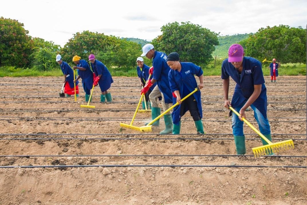 Tanzania is working on 4 biggest challenges in addressing youth involvement in agribusiness.

1. Access to Land for production 
2. Access to Capital - Loans
3. Access to technology 
4. Access to markets 
---
#BBT program gives a 66 yrs land ownership guarantee to youth. 👨‍🌾👩‍🌾🇹🇿
