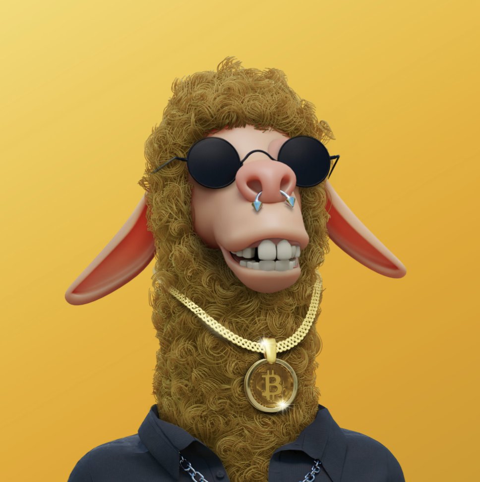 MaeleSander's tweet photo. GM to the herd
#LaidBackLlamas #LegionOfLlamas #LegionTakeOver https://t.co/XEQYrxeECw