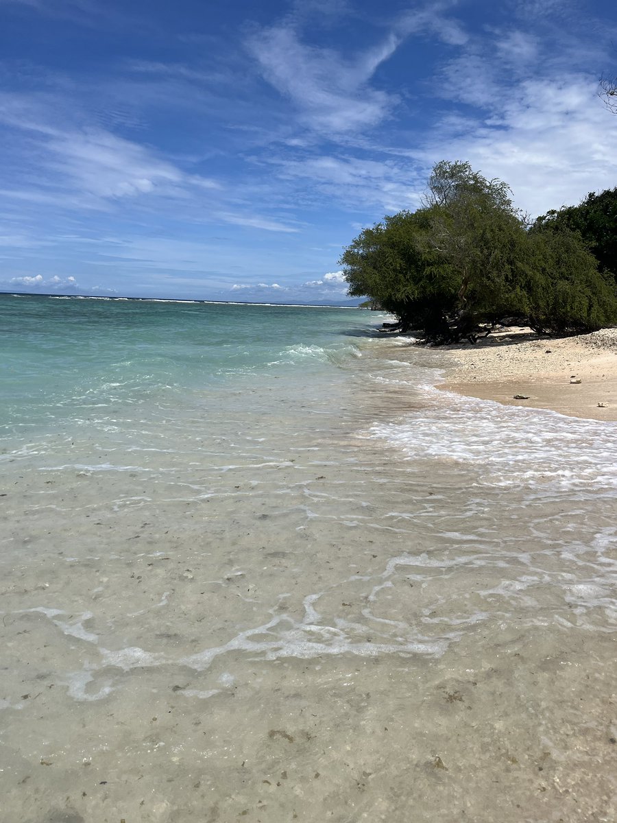 longhurst_e's tweet photo. Morning relaxing on our private beach 🏝️ turtle 🐢 spotting #mummydaughtertime #baliadventures #tutrles #bali #familytime��️ #familyholidayadventure https://t.co/ndSAFVInvn