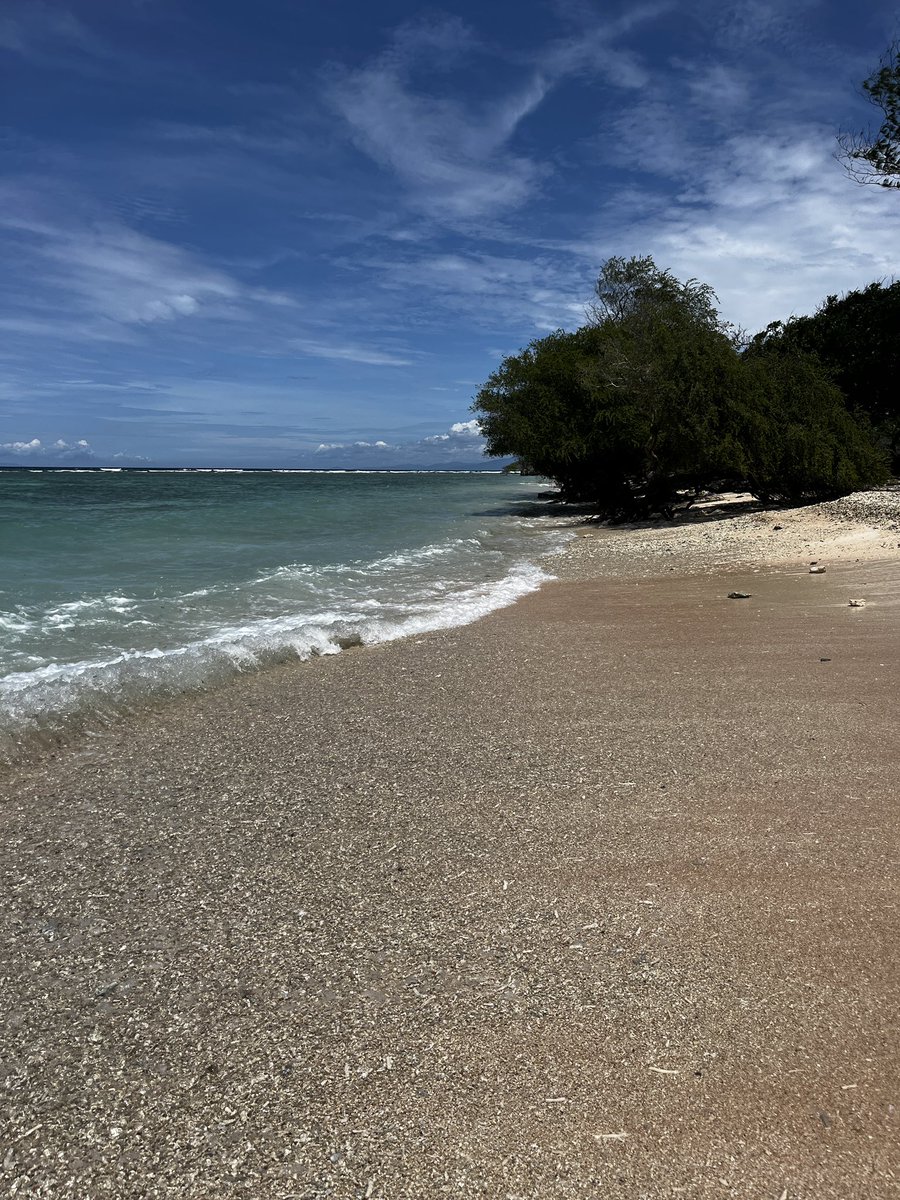 longhurst_e's tweet photo. Morning relaxing on our private beach 🏝️ turtle 🐢 spotting #mummydaughtertime #baliadventures #tutrles #bali #familytime��️ #familyholidayadventure https://t.co/ndSAFVInvn