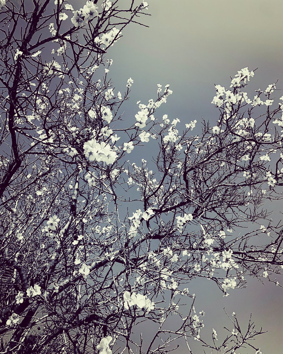 ‘and here you are living
despite it all’

Rupi Kaur