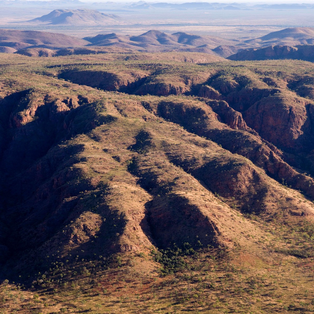 Biodiversity conservation doesn’t just happen in national parks. DCCEEW is developing a framework to recognise conservation areas or ‘other effective area-based conservation measures’ (OECMs) in Australia. You can have a say. Consultation until 21/4/2023. fal.cn/3wZqt