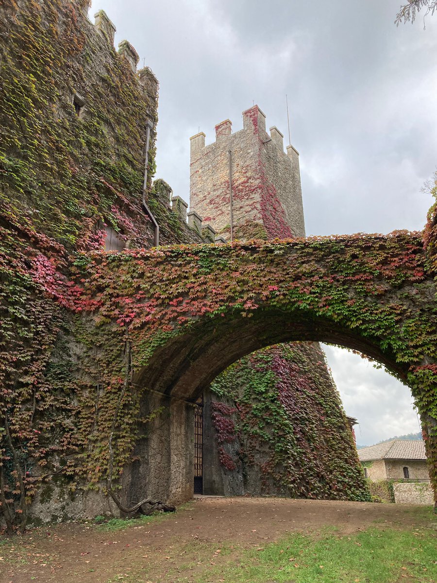 Questa mattina ti portiamo a vedere un magnifico castello a Sovicille in provincia di Siena 

Scoprilo nel nostro ultimo video su Instagram: instagram.com/reel/CqZrMoZjo…

O nel nostro canale Youtube: youtube.com/shorts/nY2dbWa…
