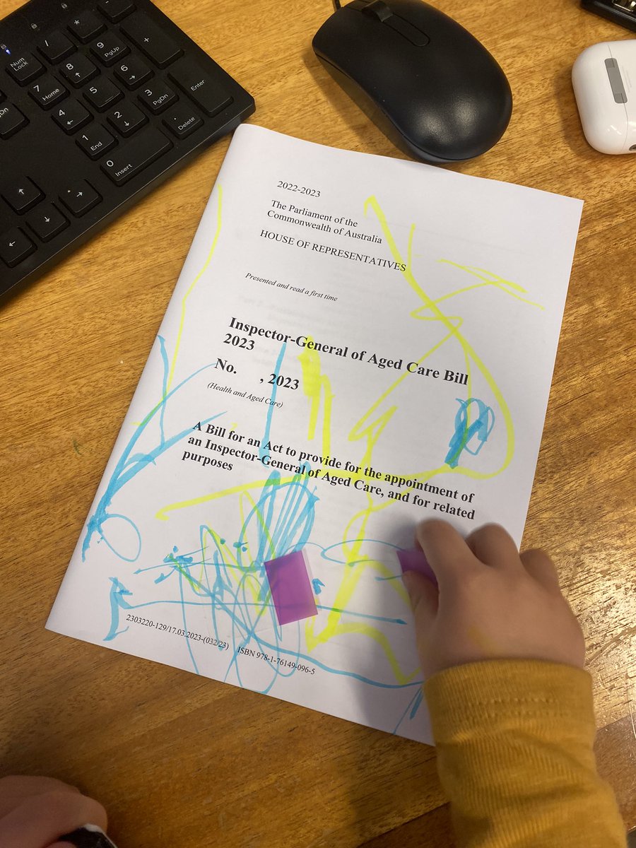 Anika Wells MP tweet media