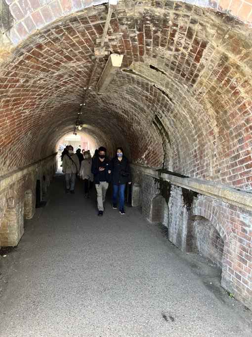 哲学の道もむちゃ人いた。 