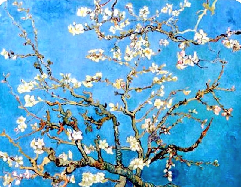 GUTEN MORGEN! ☕☕

Wandlung ist notwendig wie die Erneuerung der Blätter im Frühling.

#vincentvangogh  *30.3.1853 – 29.7.90

Was wäre das Leben, hätten wir nicht den Mut, etwas zu riskieren.

Das Feuer in seiner Seele soll man nie ausgehen lassen, sondern schüren.

[Mandelblüte