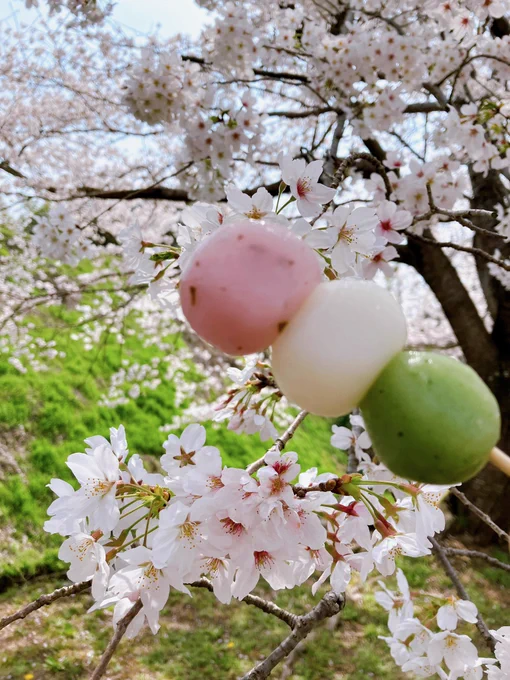 お花見してきた・*・:≡( ε:) 