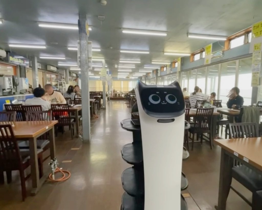 DFAroboticsInc's tweet photo. 飼い主さんの広いお店に、野良ベラちゃんが来てないかパトロールを欠かさないベラちゃん

#今日のネコ型ロボット 
#DFAのBellaBot https://t.co/ZinN19pGcL