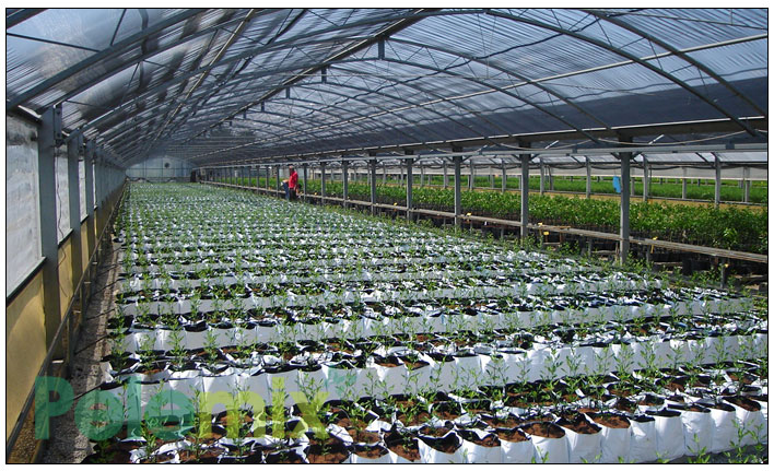 #Plantación #bolsasdecultivo #agricultura #fibradecoco #agro #cococoir #cocopeat #horticulture #farming 
 👨‍🌾 🌱 🚜