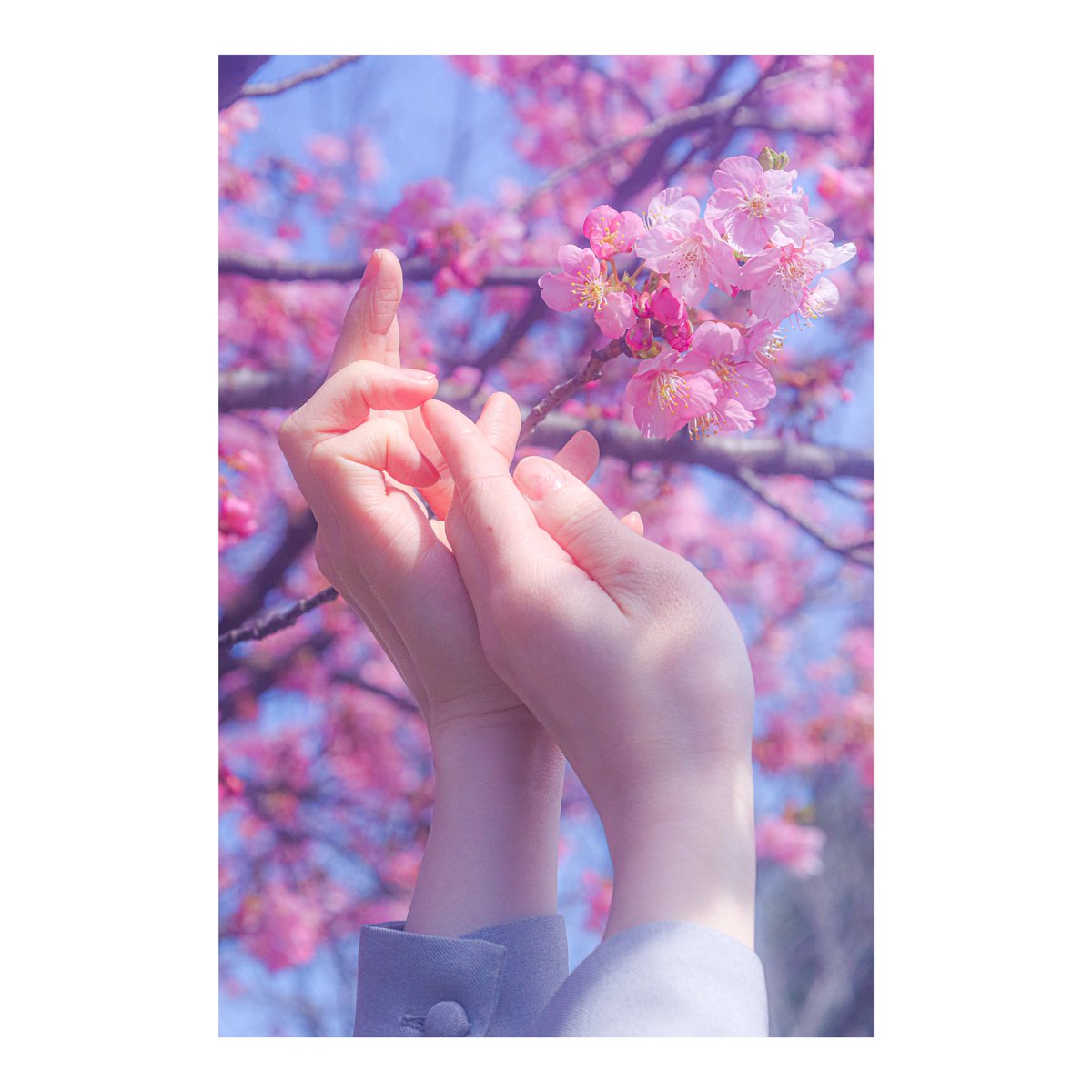 shiinakotobuki's tweet photo. 「花と踊ろう」

#Entwal
#Entwal二次創作 https://t.co/iYP992apDj